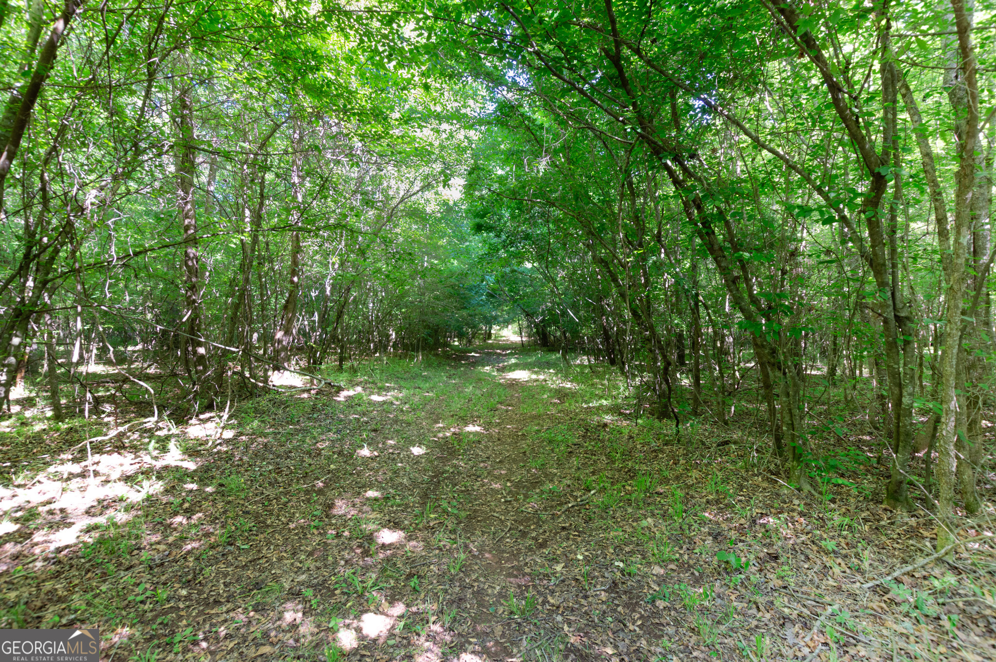 0 Apt-to-miss Road Monticello GA 31064
