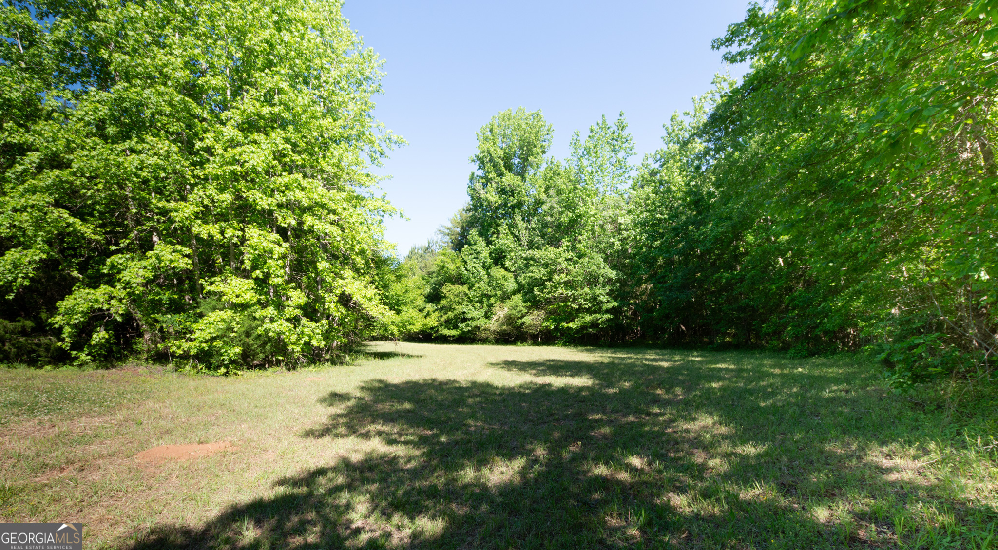 0 Apt-to-miss Road Monticello GA 31064