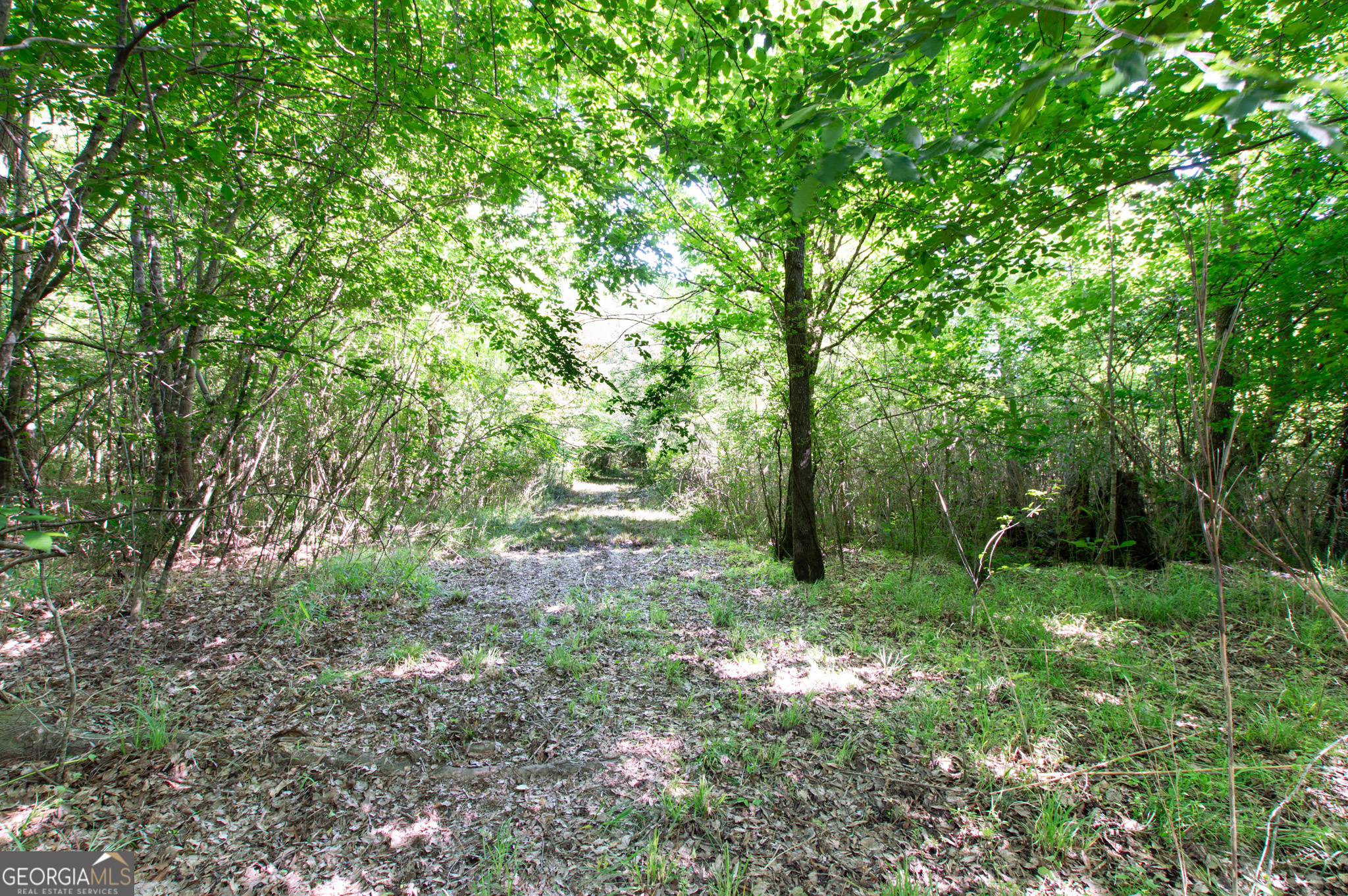 0 Apt-to-miss Road Monticello GA 31064