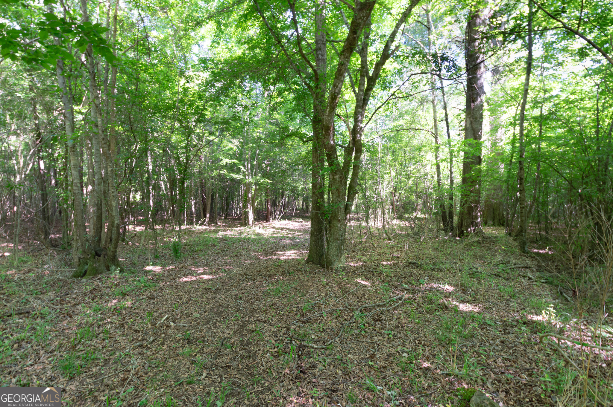 0 Apt-to-miss Road Monticello GA 31064