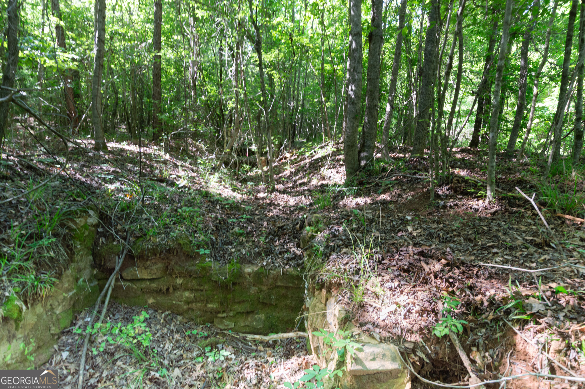 0 Apt-to-miss Road Monticello GA 31064