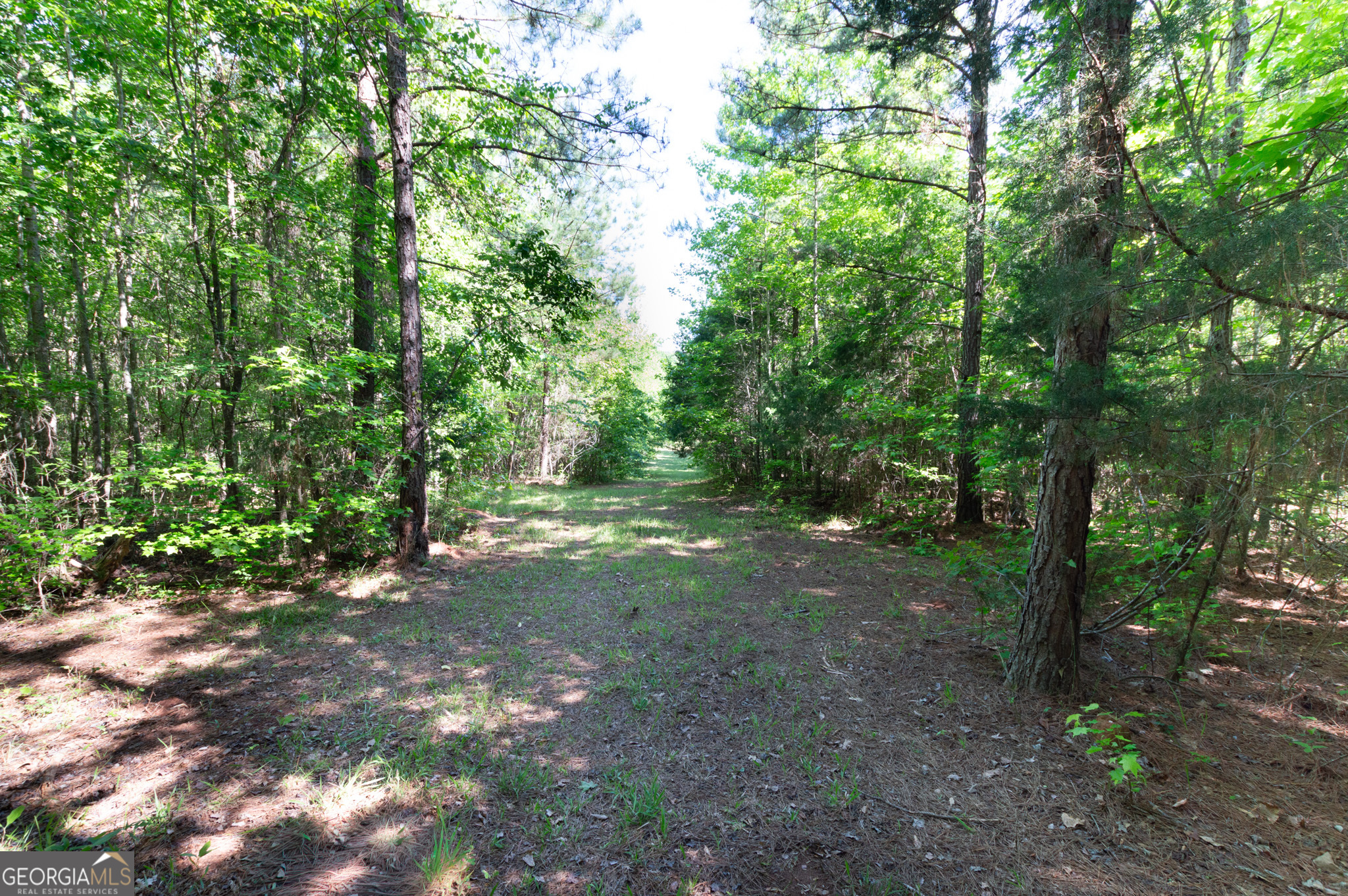0 Apt-to-miss Road Monticello GA 31064