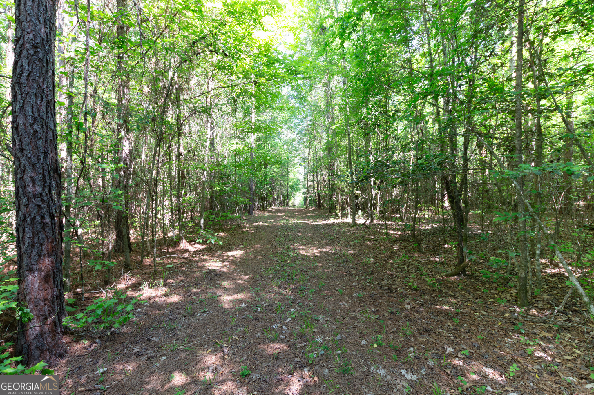 0 Apt-to-miss Road Monticello GA 31064