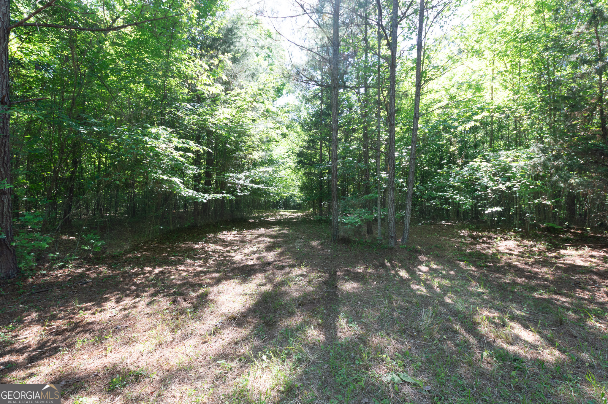0 Apt-to-miss Road Monticello GA 31064