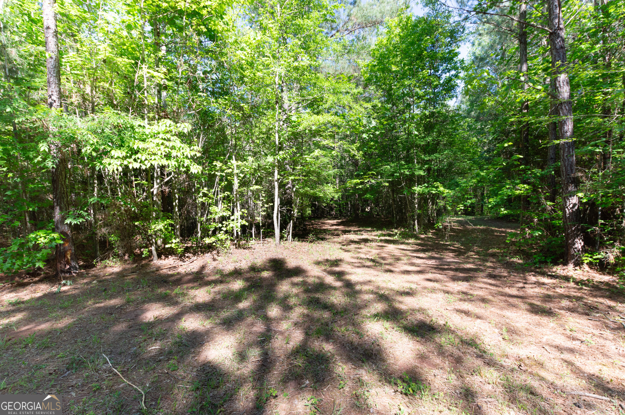 0 Apt-to-miss Road Monticello GA 31064