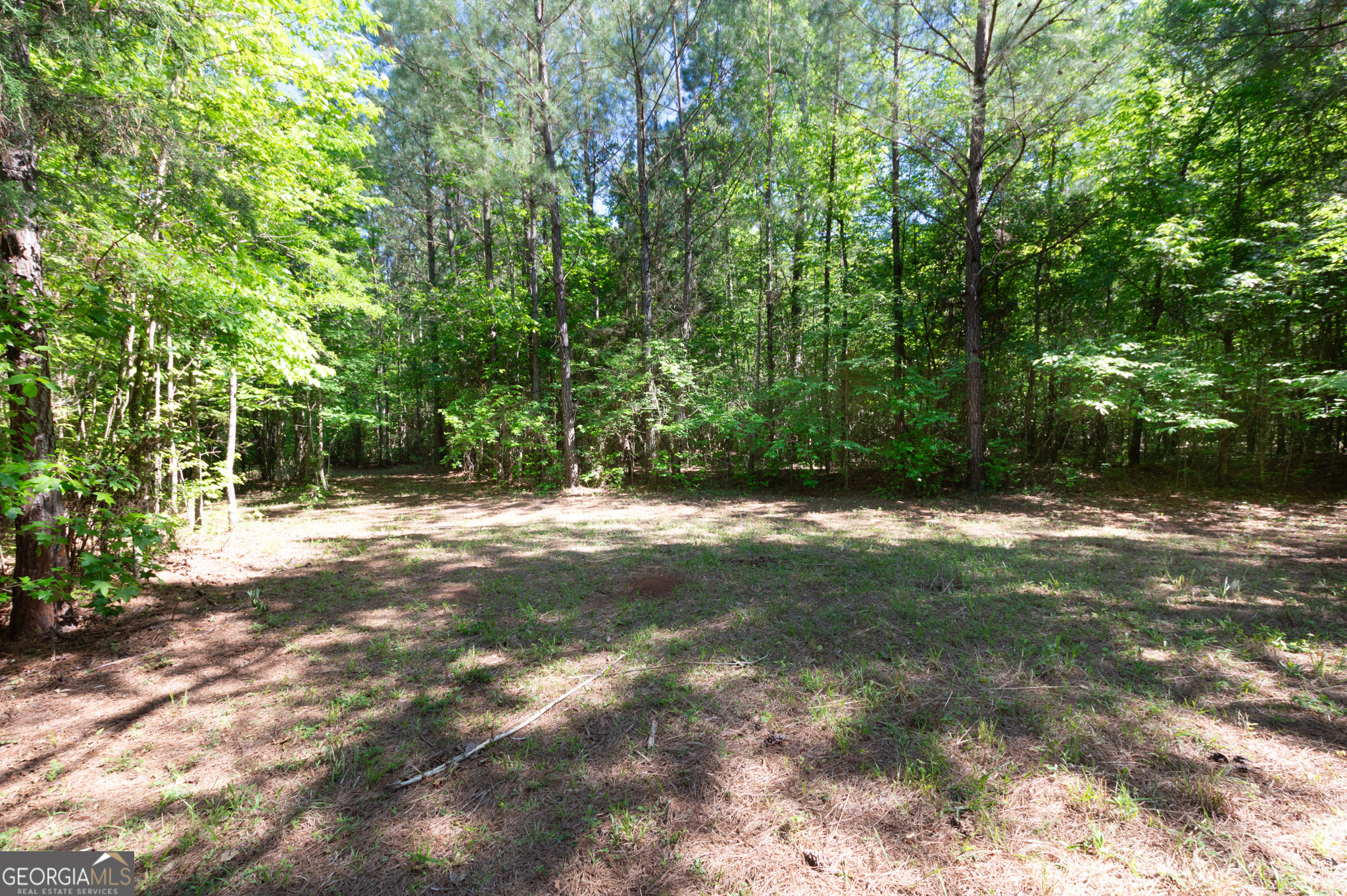 0 Apt-to-miss Road Monticello GA 31064