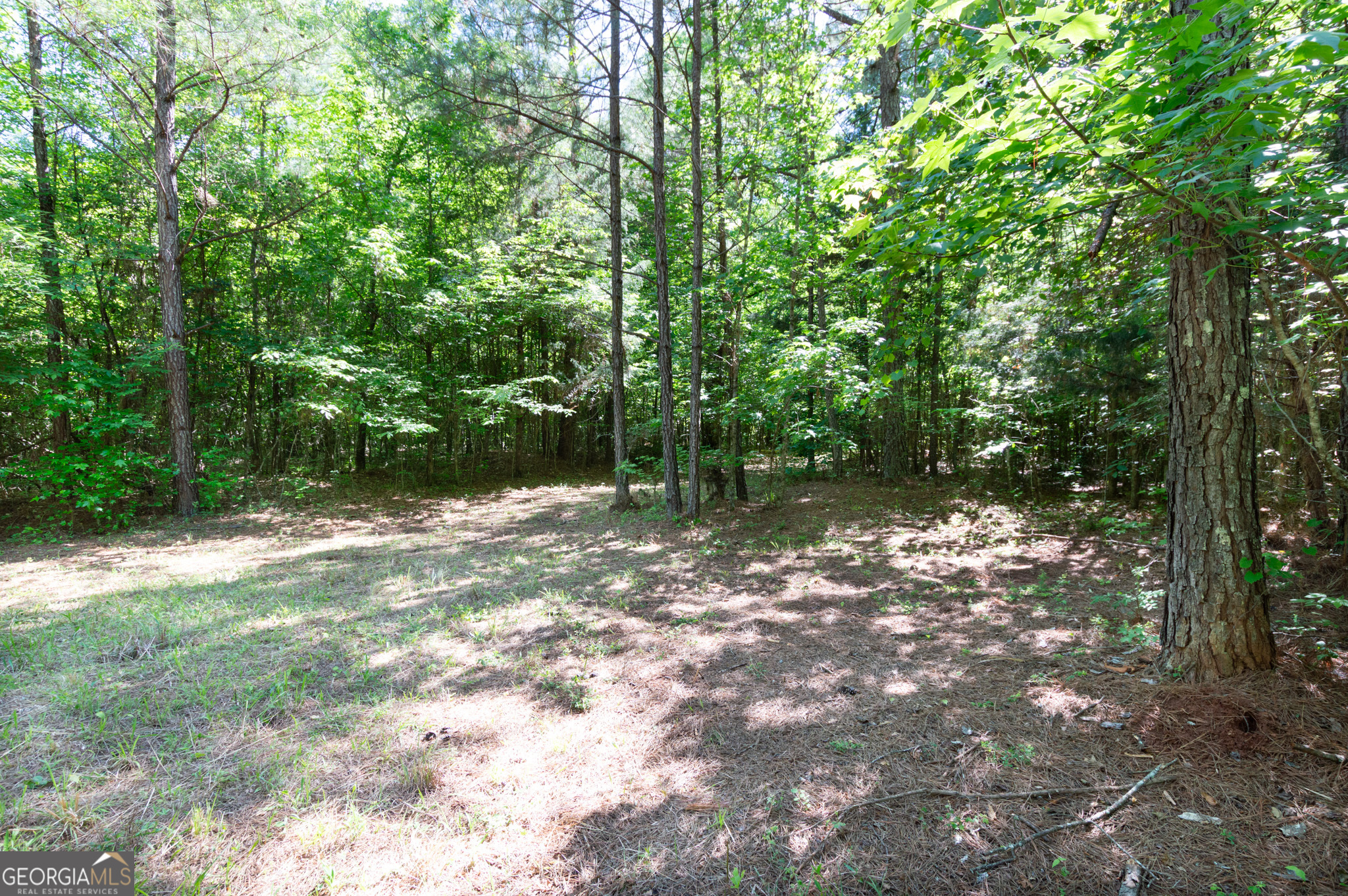 0 Apt-to-miss Road Monticello GA 31064