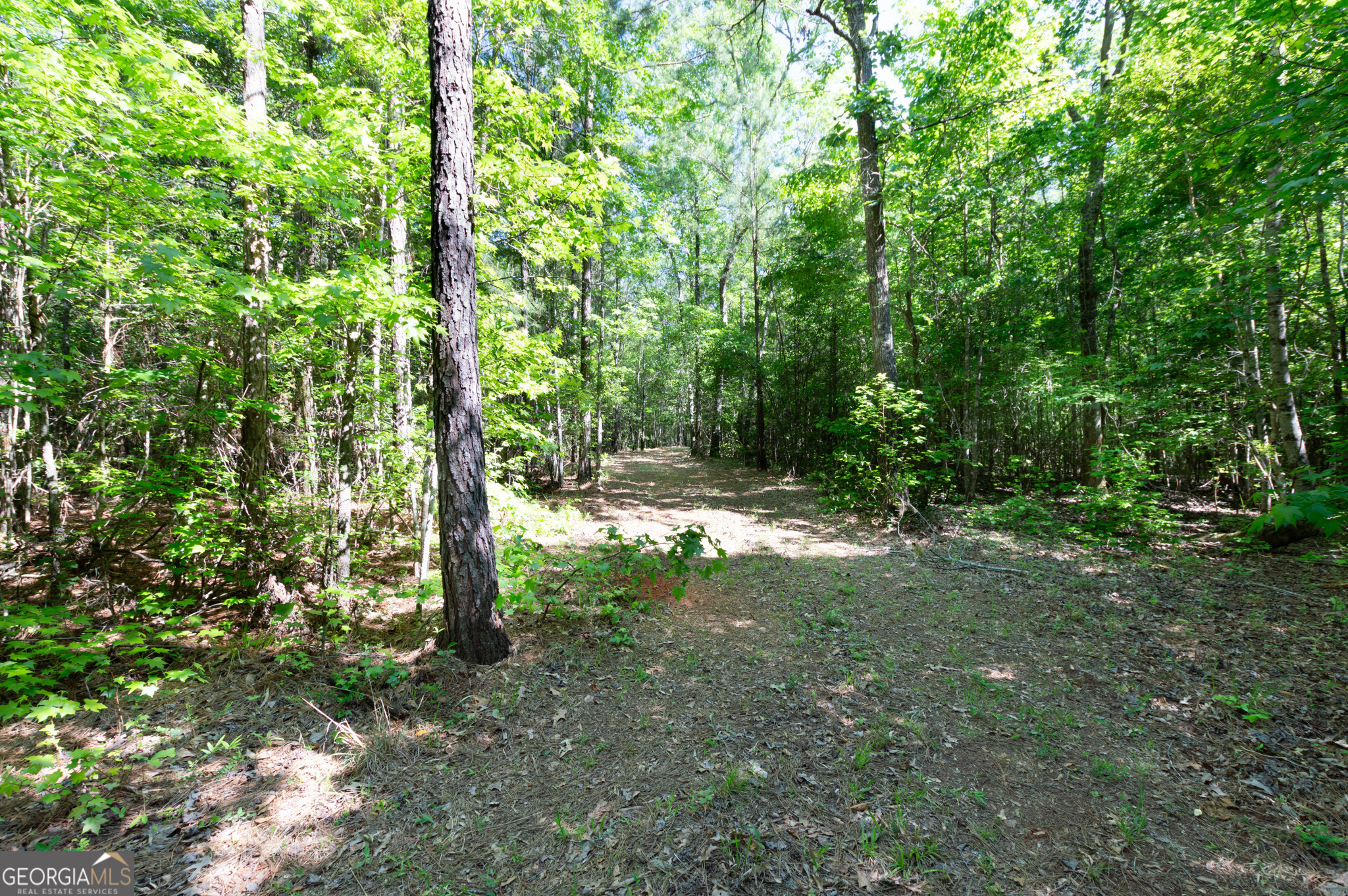 0 Apt-to-miss Road Monticello GA 31064