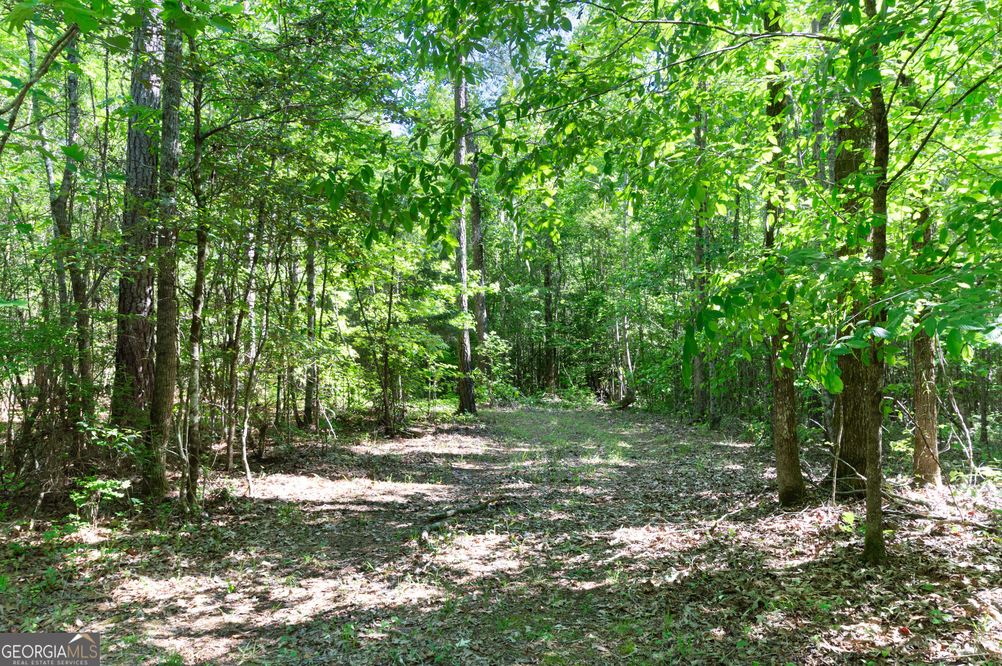0 Apt-to-miss Road Monticello GA 31064