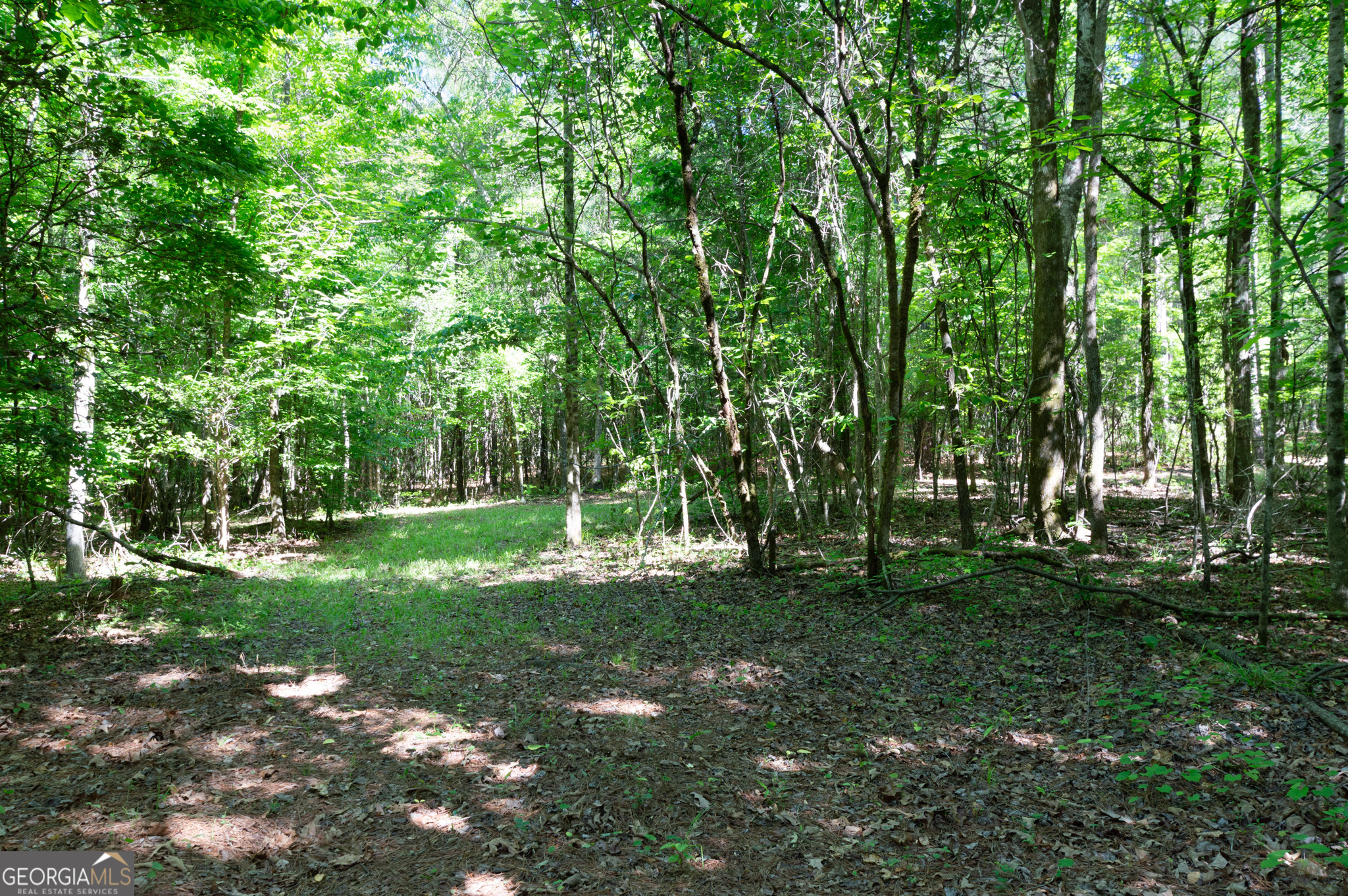 0 Apt-to-miss Road Monticello GA 31064