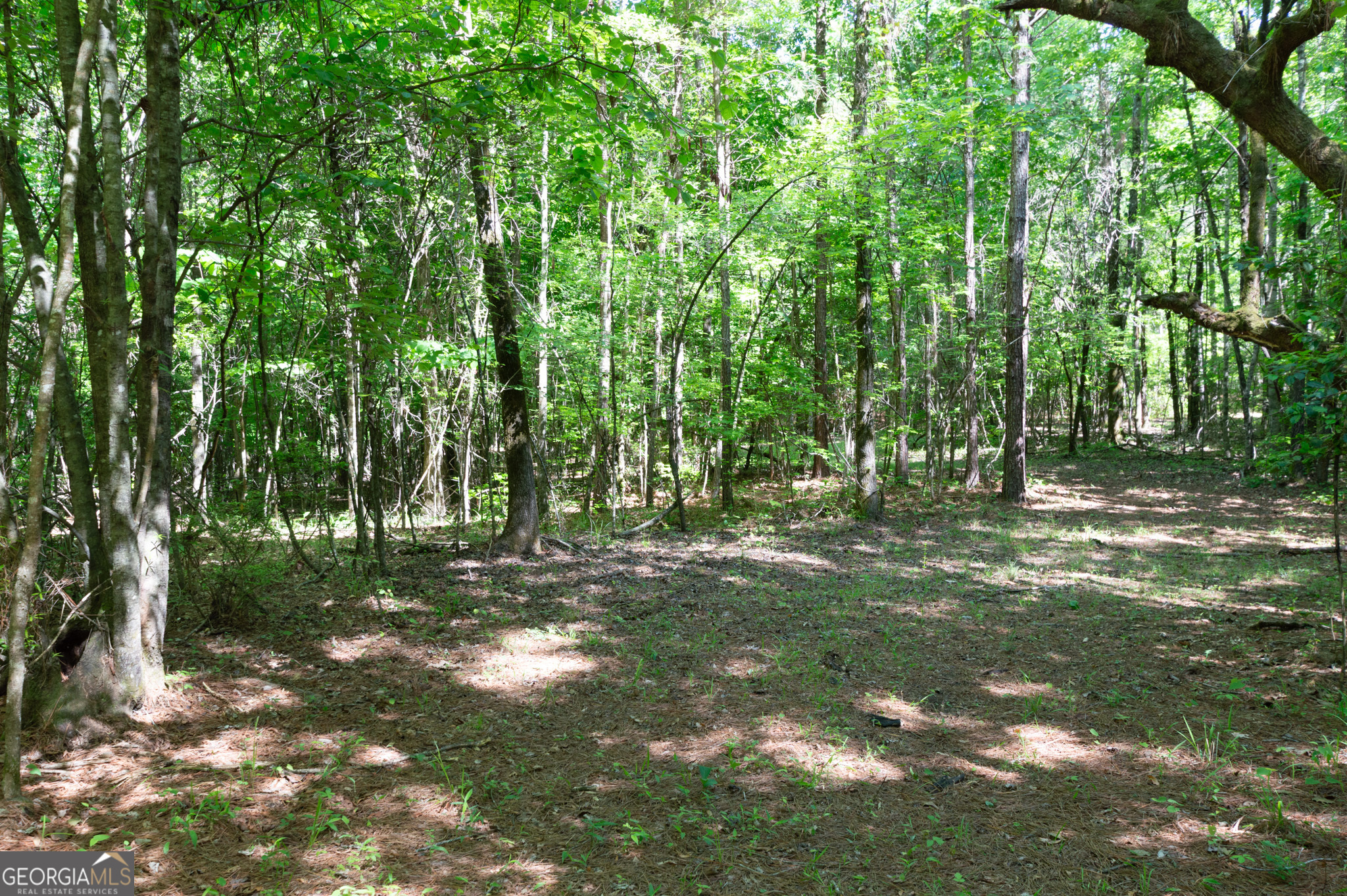 0 Apt-to-miss Road Monticello GA 31064