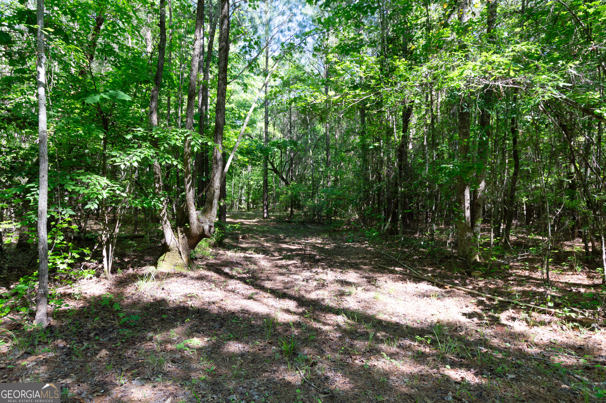 0 Apt-to-miss Road Monticello GA 31064