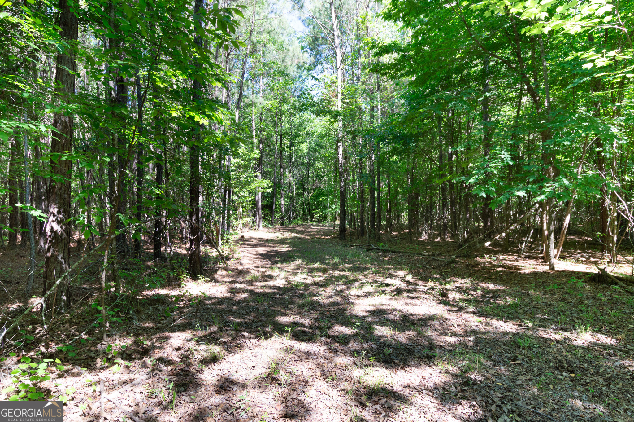 0 Apt-to-miss Road Monticello GA 31064
