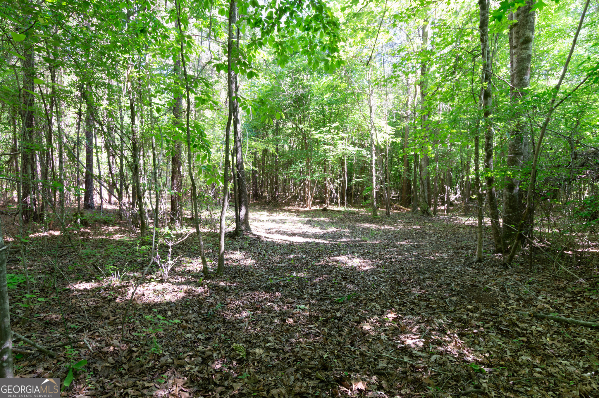 0 Apt-to-miss Road Monticello GA 31064