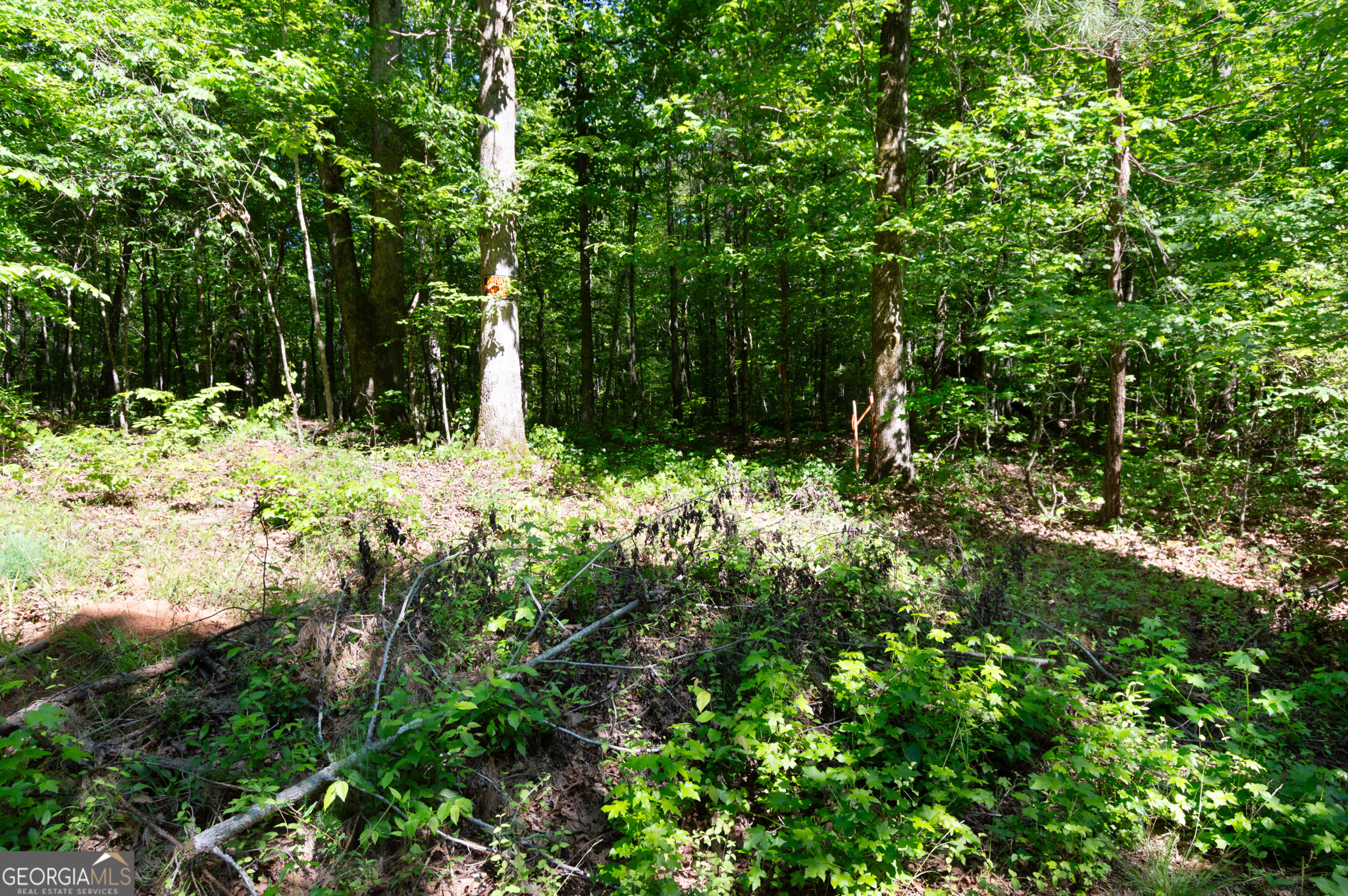 0 Apt-to-miss Road Monticello GA 31064