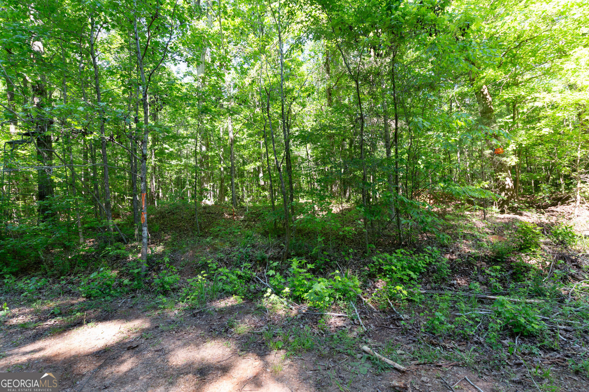 0 Apt-to-miss Road Monticello GA 31064