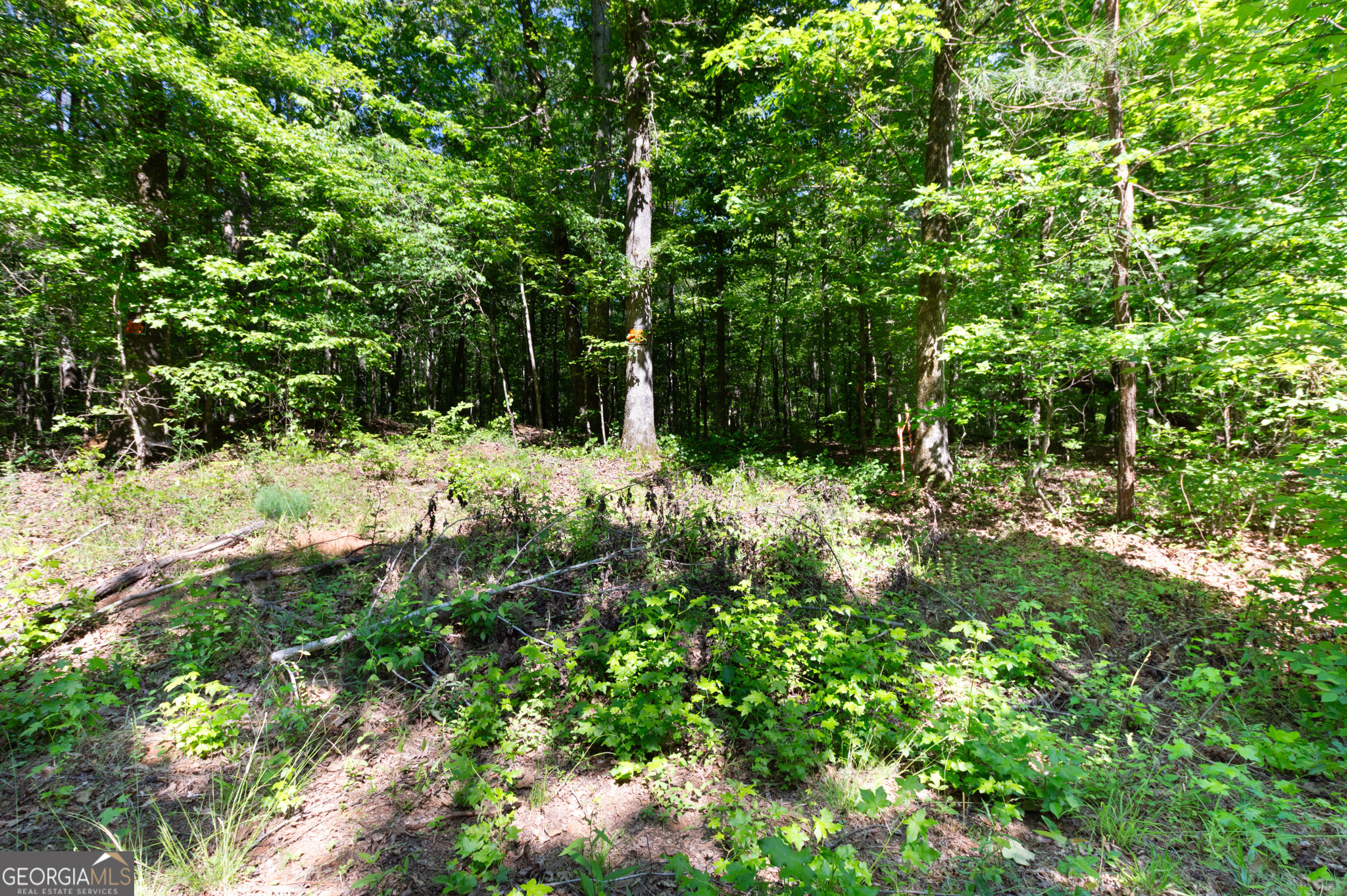 0 Apt-to-miss Road Monticello GA 31064