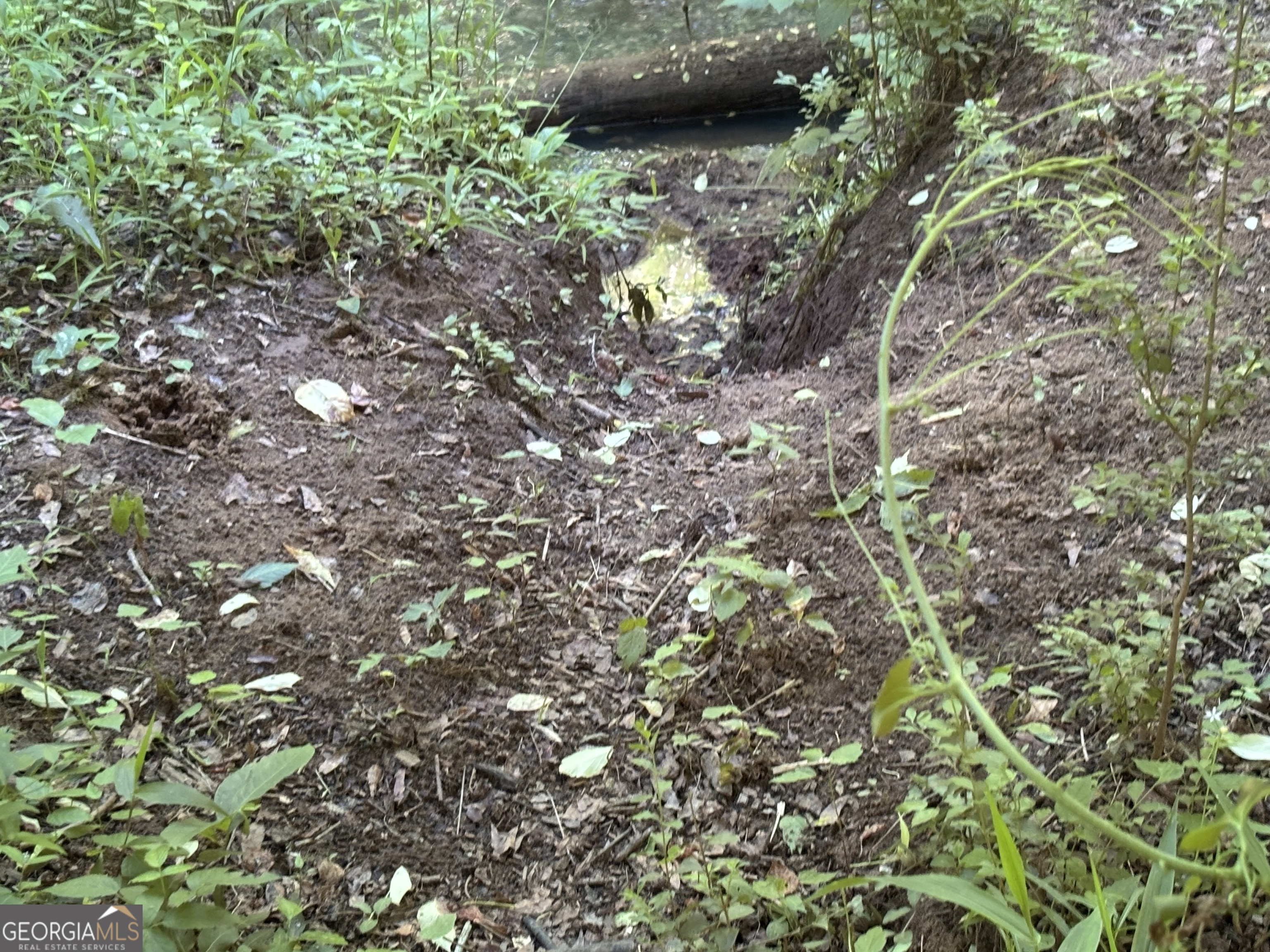 0 Apt-to-miss Road Monticello GA 31064