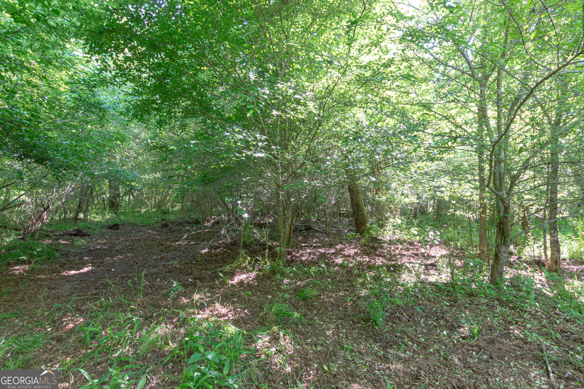 0 Apt-to-miss Road Monticello GA 31064