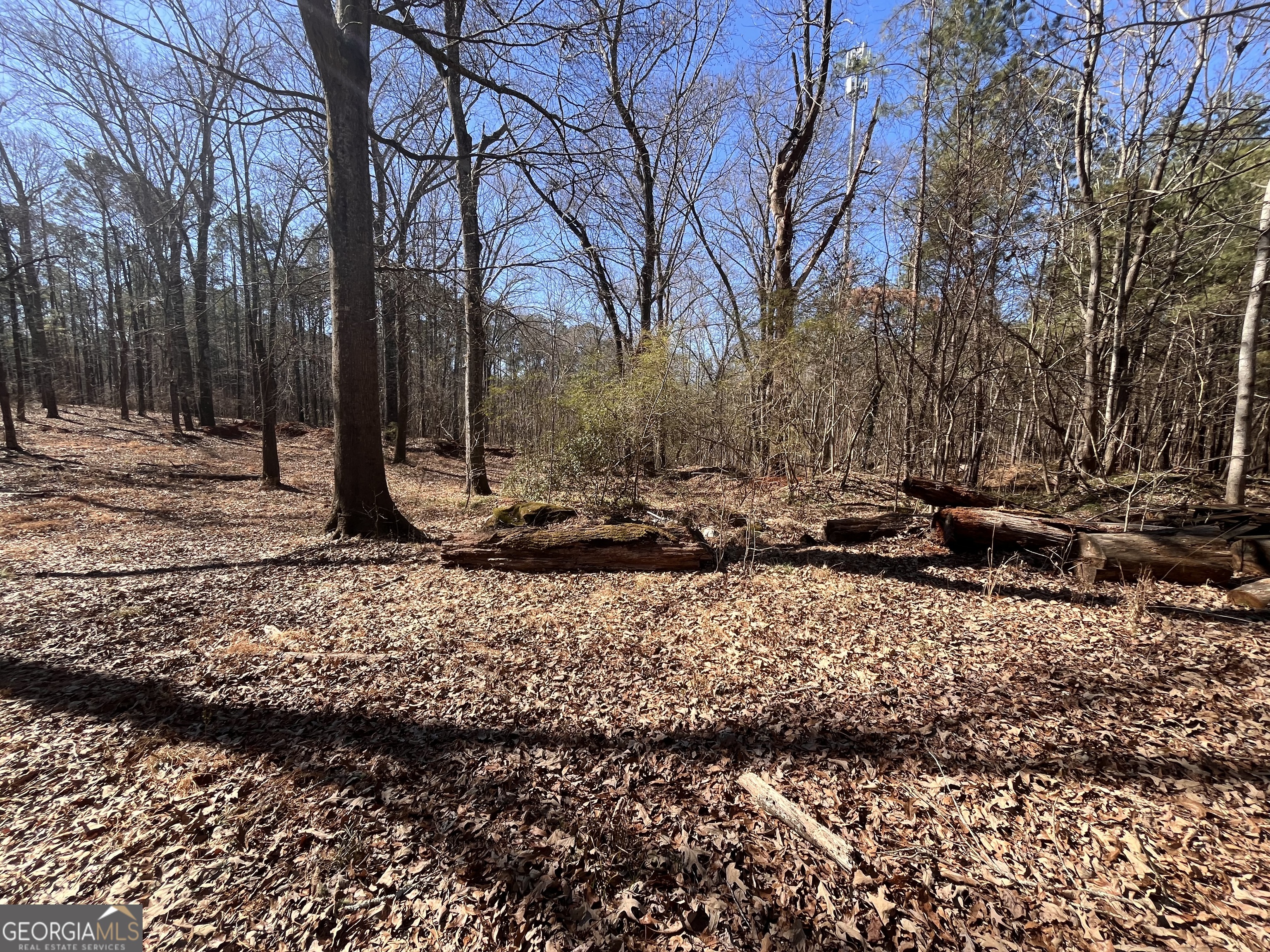 55 Key Road Ellenwood GA 30294