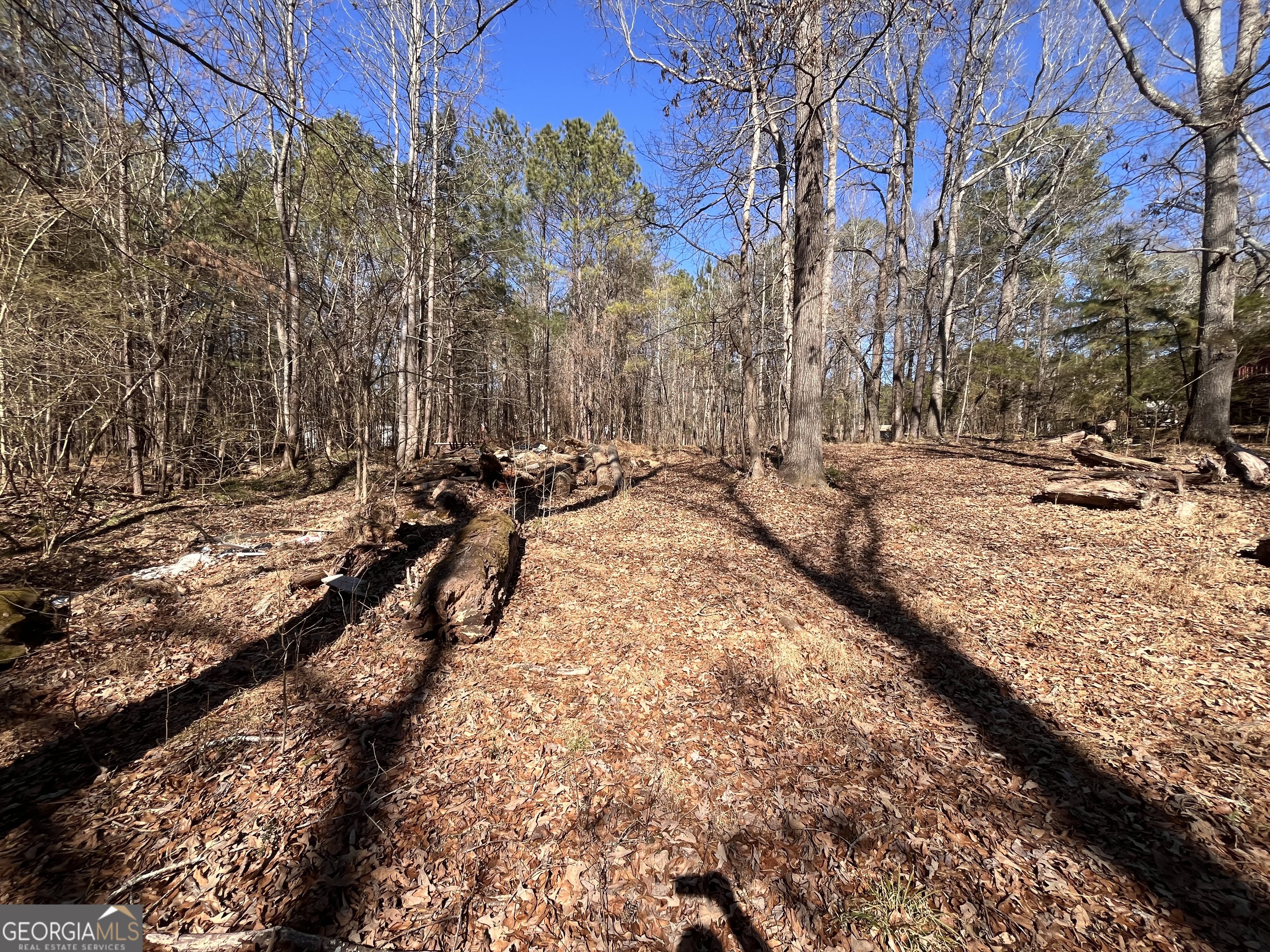 55 Key Road Ellenwood GA 30294
