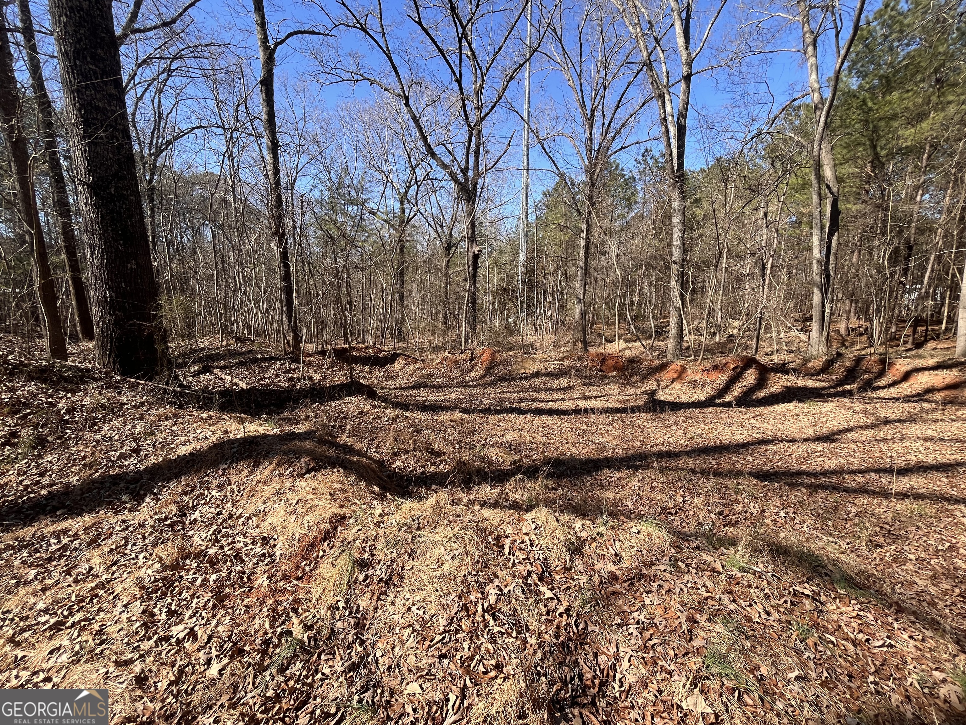 55 Key Road Ellenwood GA 30294