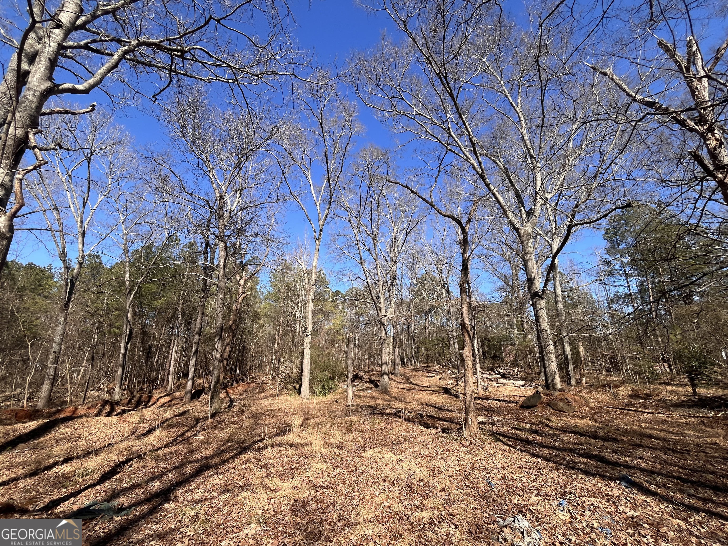 55 Key Road Ellenwood GA 30294