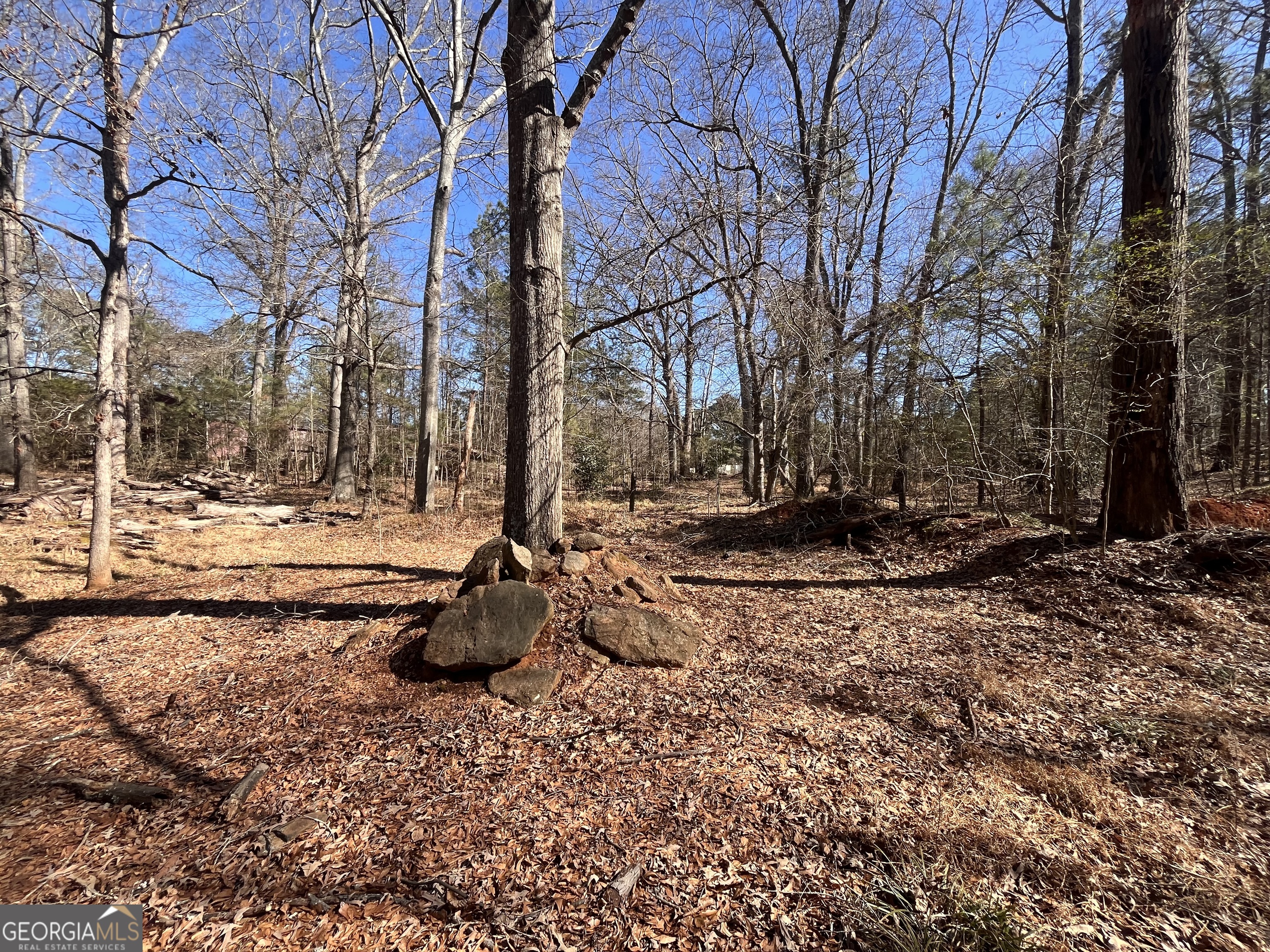 55 Key Road Ellenwood GA 30294