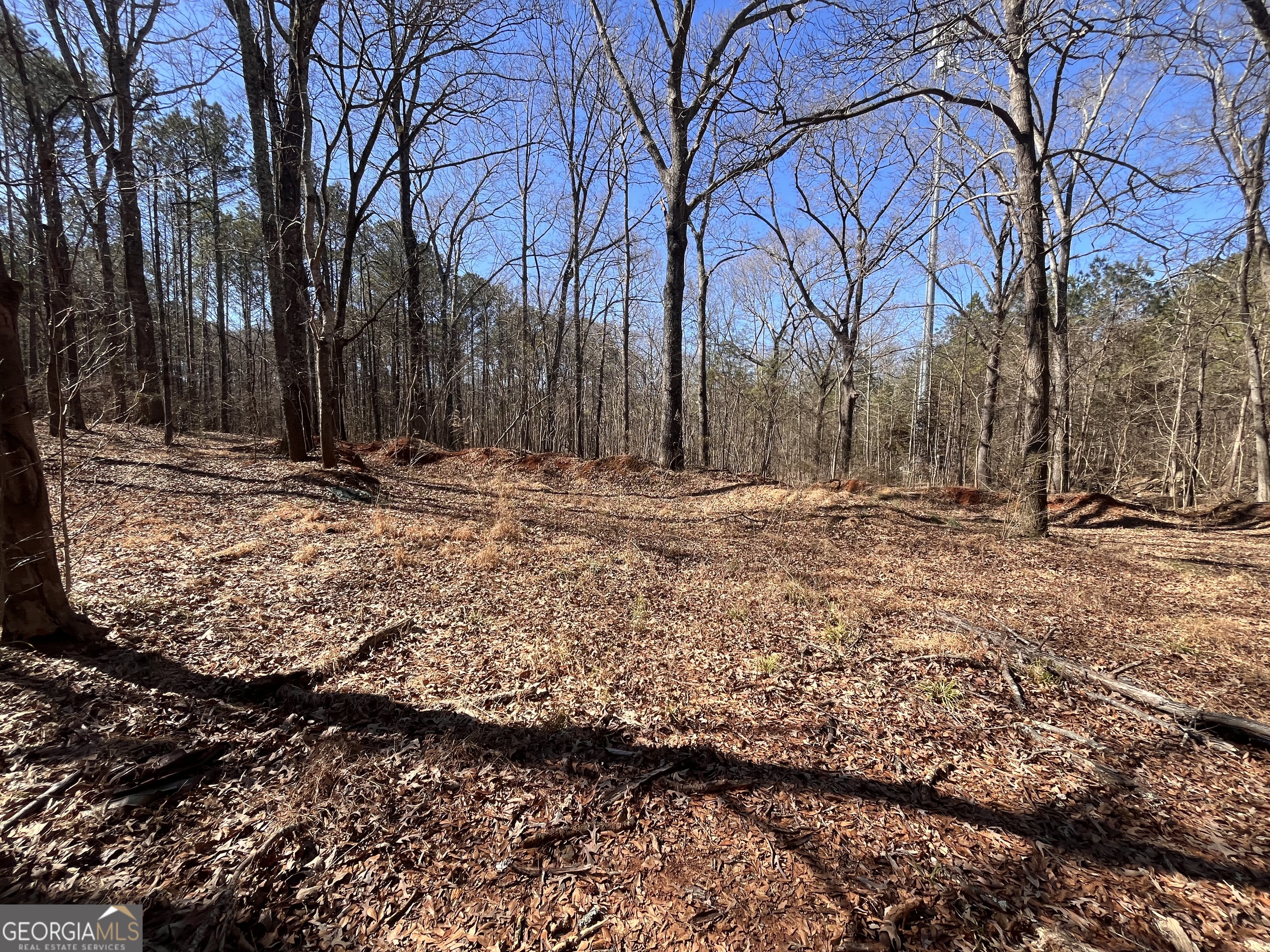 55 Key Road Ellenwood GA 30294