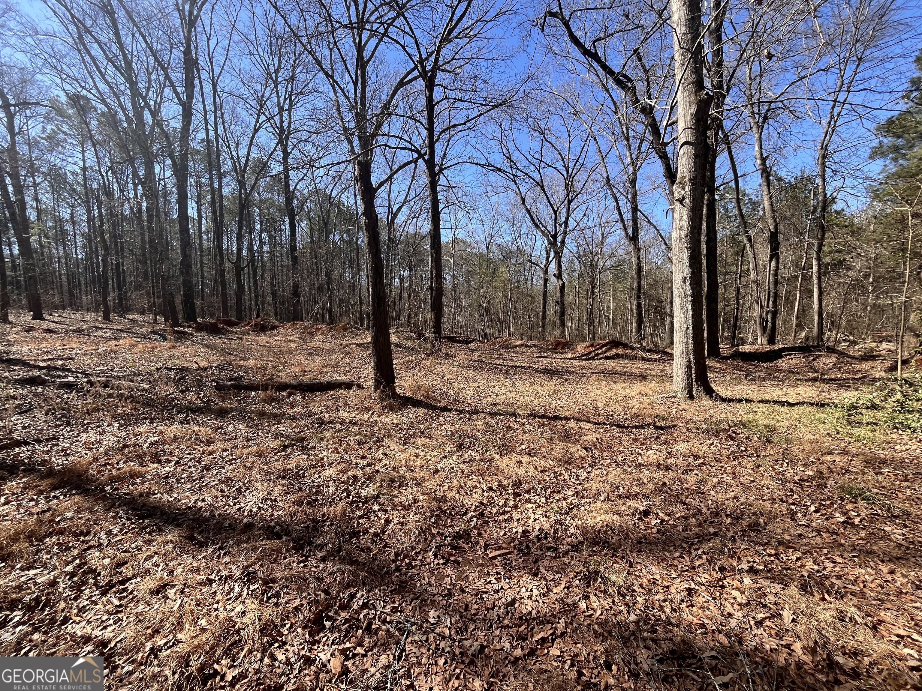 55 Key Road Ellenwood GA 30294