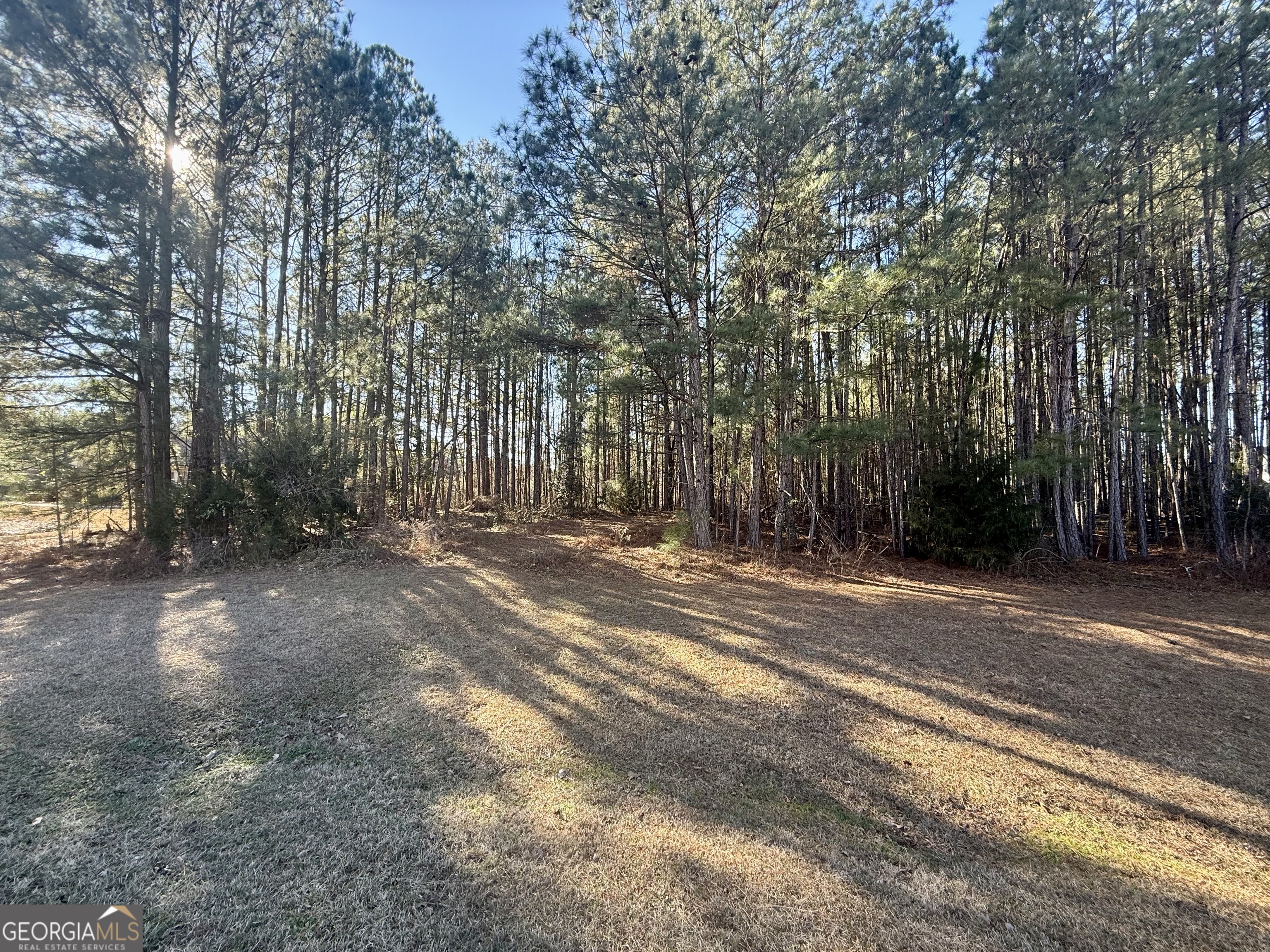 303 Freedom Drive Forsyth GA 31029