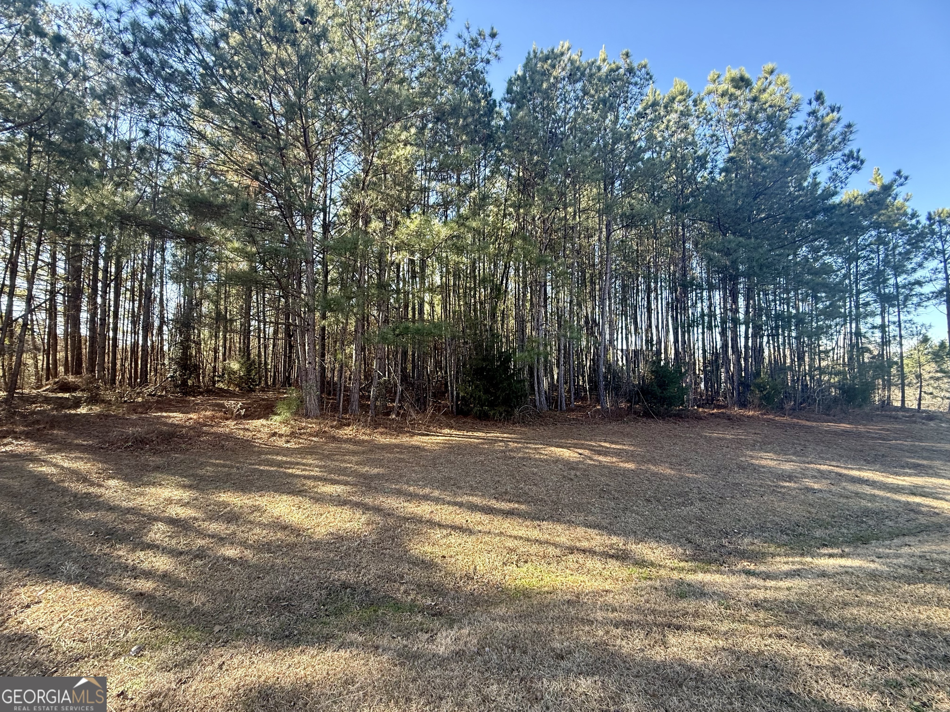 303 Freedom Drive Forsyth GA 31029