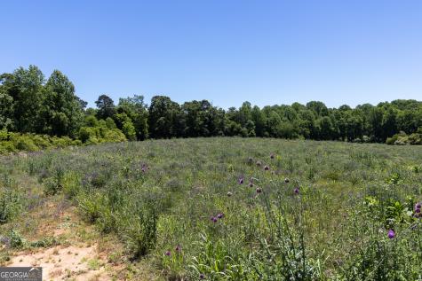 3600 Pea Ridge Road Cornelia GA 30531