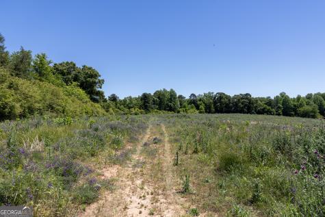 3600 Pea Ridge Road Cornelia GA 30531