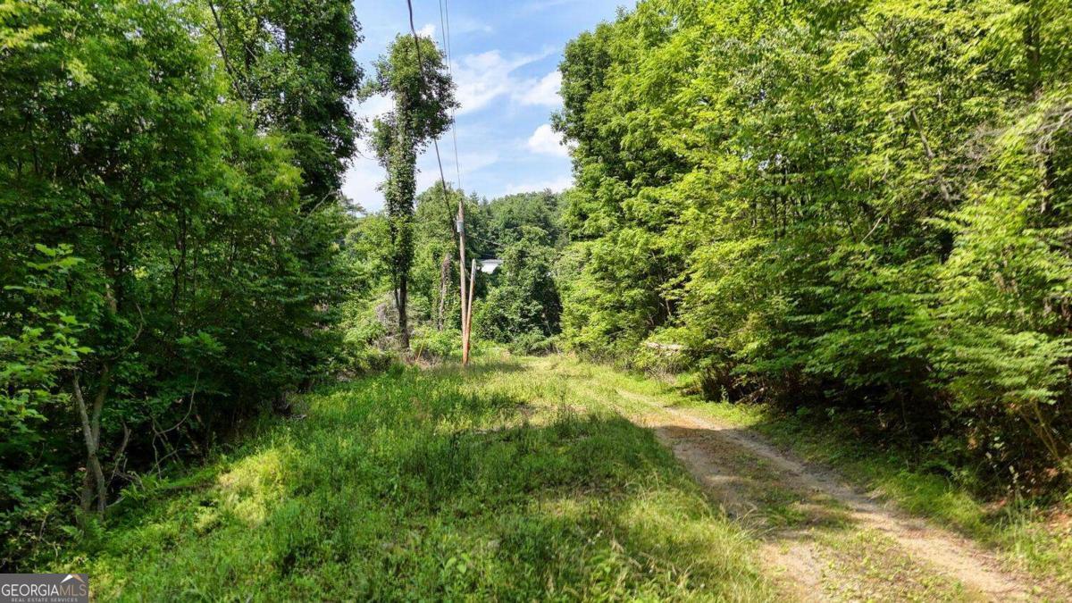 201 Jaguar Lane Blue Ridge GA 30513