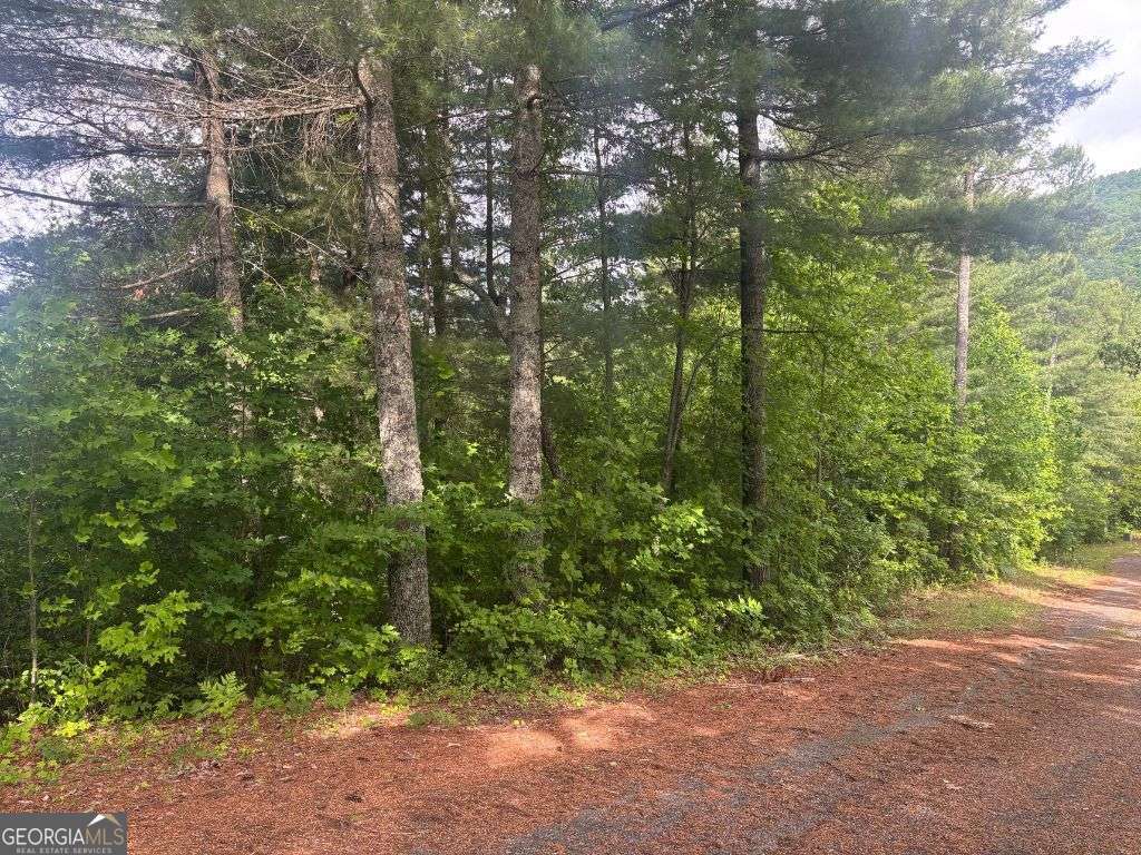 Lot 14 Whisper Woods Estates Hiawassee GA 30546