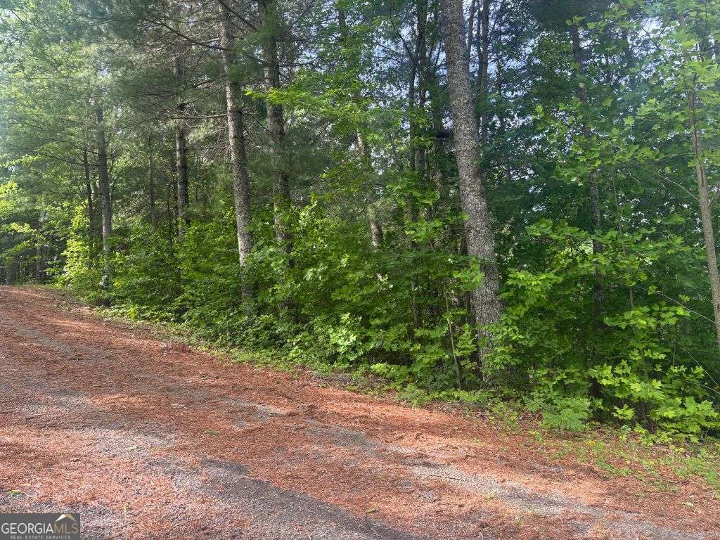 Lot 14 Whisper Woods Estates Hiawassee GA 30546