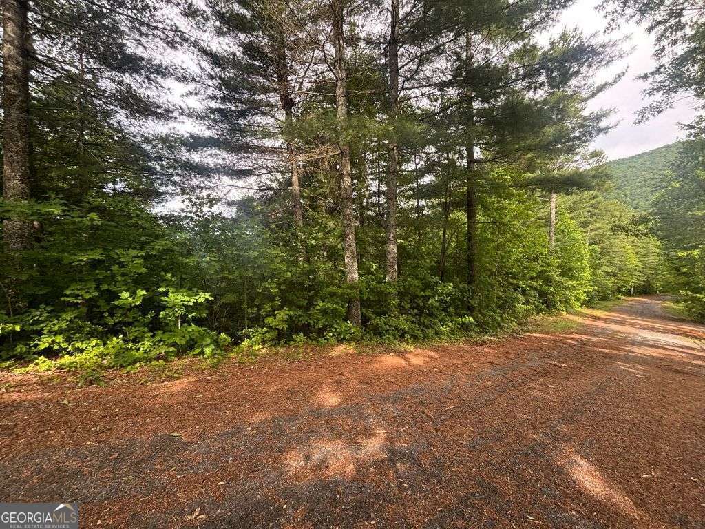 Lot 14 Whisper Woods Estates Hiawassee GA 30546