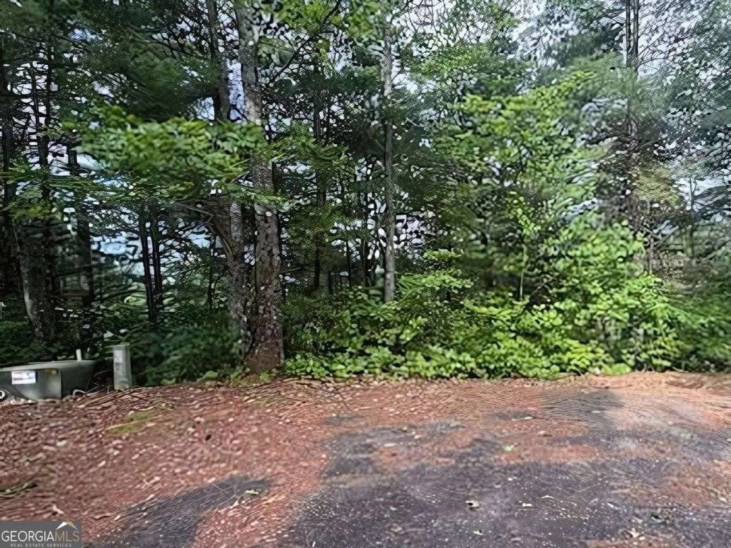 Lot 14 Whisper Woods Estates Hiawassee GA 30546