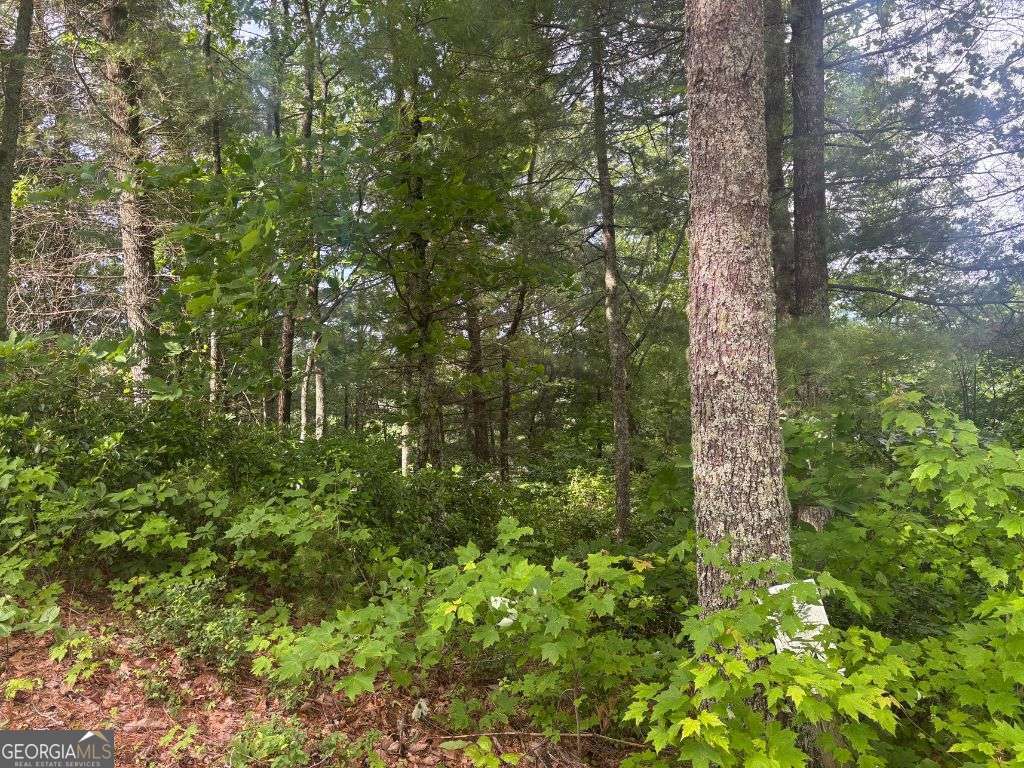 Lot 14 Whisper Woods Estates Hiawassee GA 30546