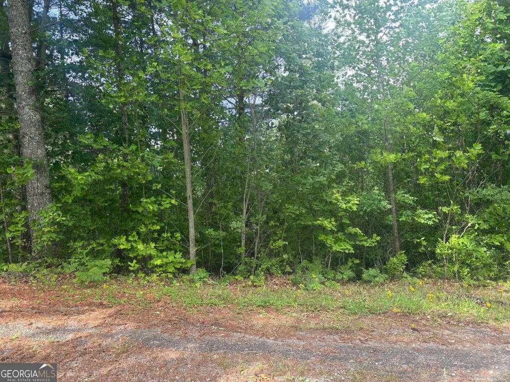 Lot 14 Whisper Woods Estates Hiawassee GA 30546