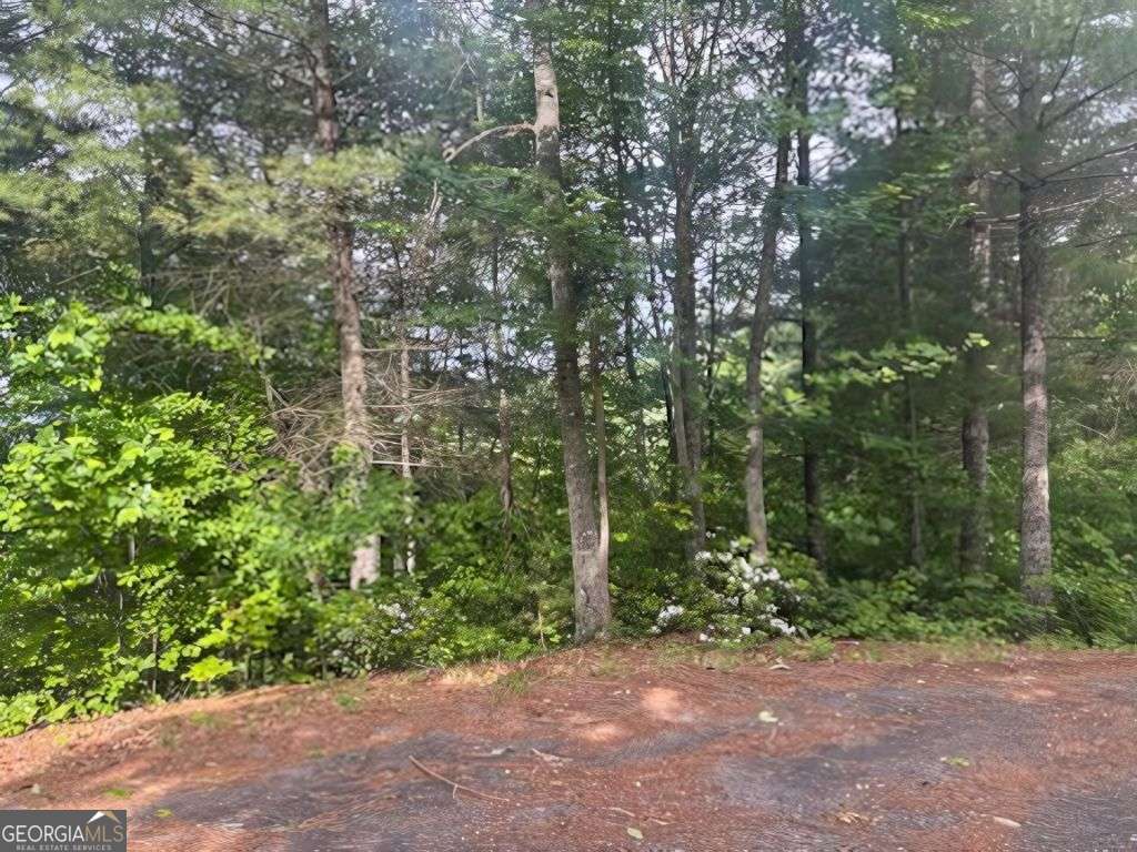 Lot 14 Whisper Woods Estates Hiawassee GA 30546
