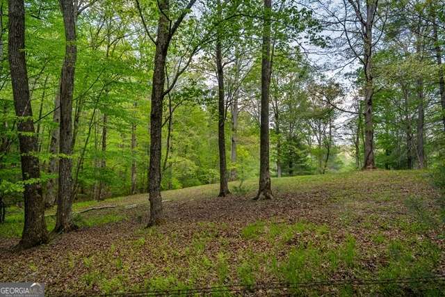 Lot 3-4 Scouts Overlook Lane Morganton GA 30560