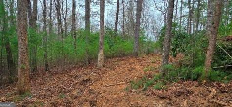 Lot 3-4 Scouts Overlook Lane Morganton GA 30560