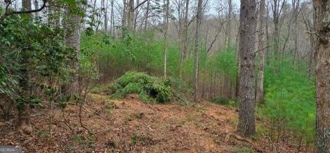Lot 3-4 Scouts Overlook Lane Morganton GA 30560
