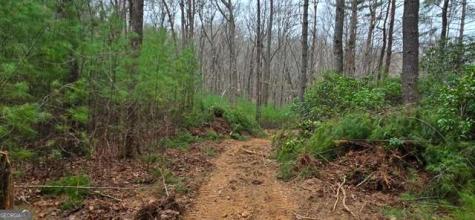 Lot 3-4 Scouts Overlook Lane Morganton GA 30560