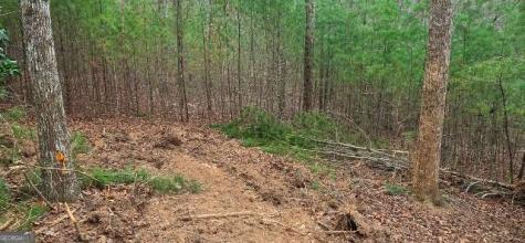 Lot 3-4 Scouts Overlook Lane Morganton GA 30560