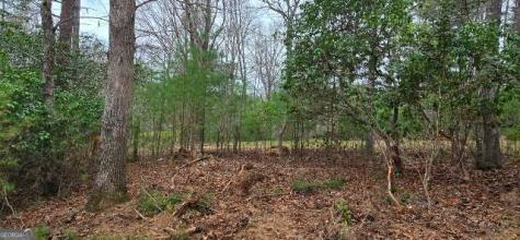 Lot 3-4 Scouts Overlook Lane Morganton GA 30560