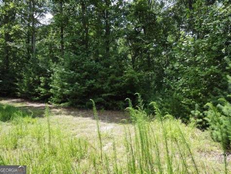 Lot 3-4 Scouts Overlook Lane Morganton GA 30560
