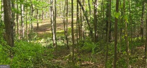Lot 3-4 Scouts Overlook Lane Morganton GA 30560